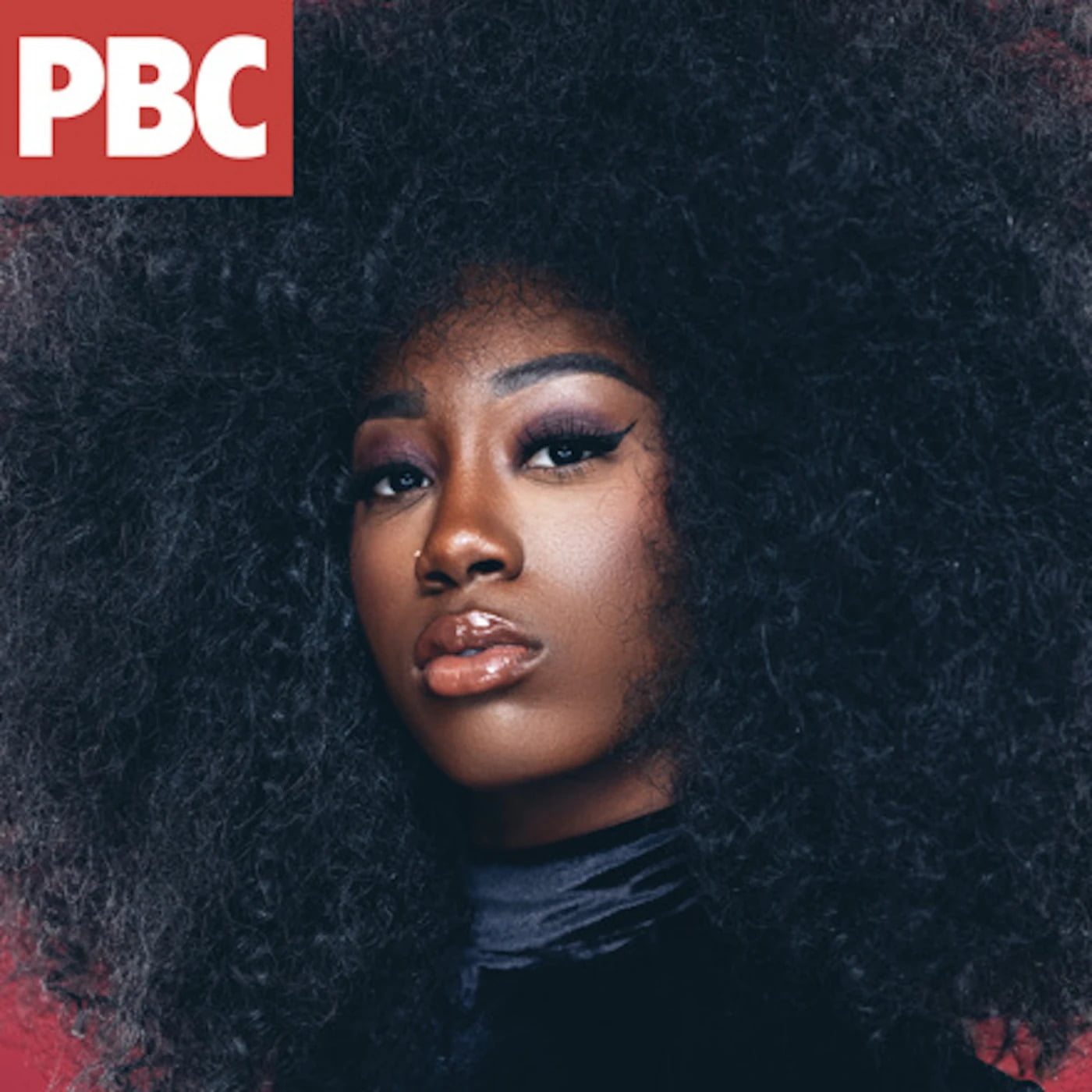 Flo Milli Debuts Her Music Video For "PBC"