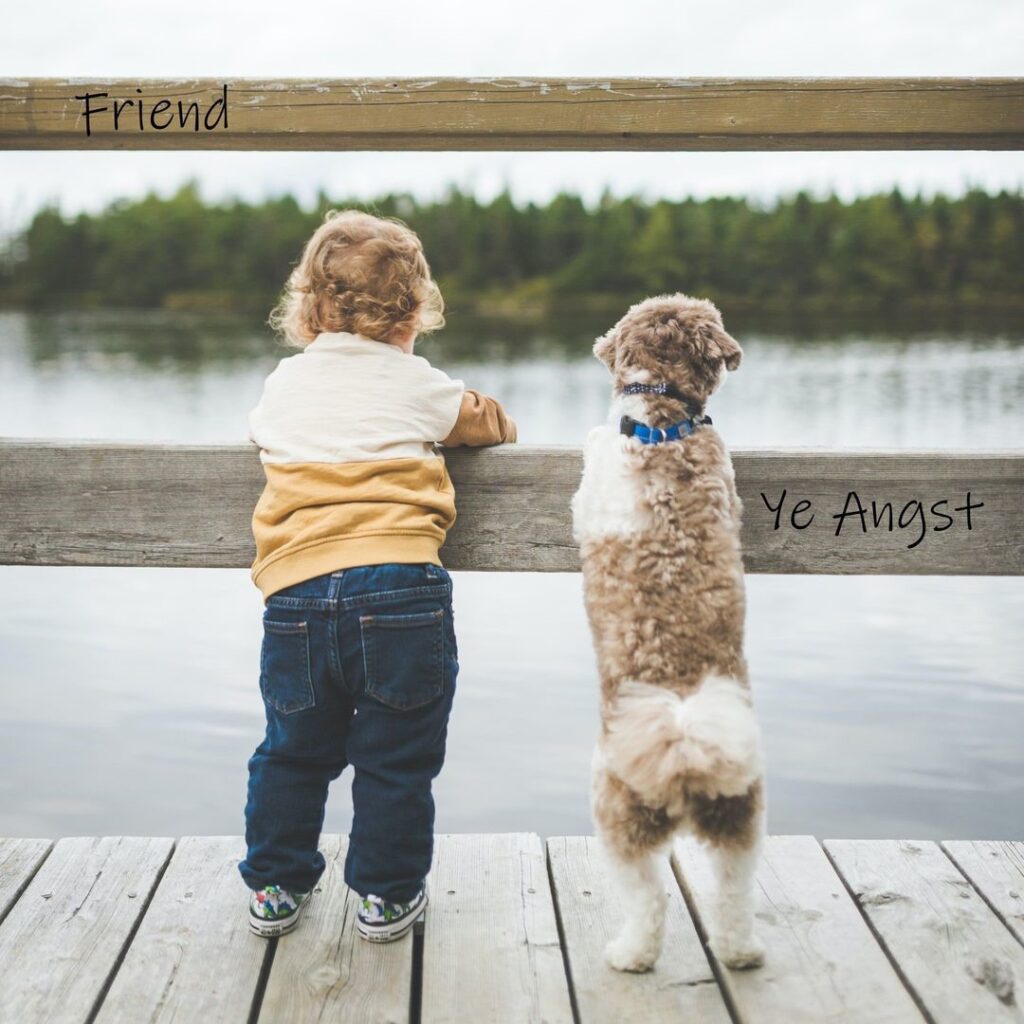 Friend by Ye Angst: Review