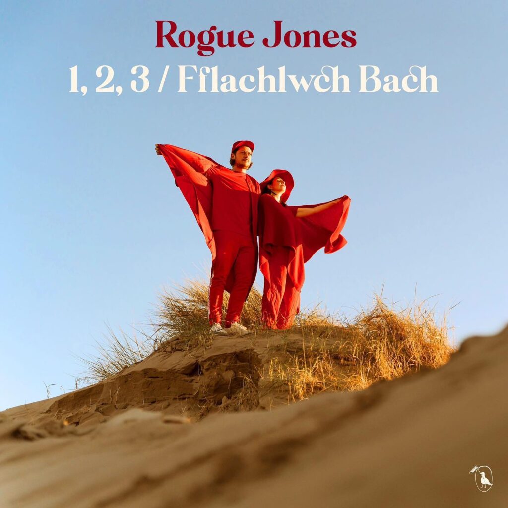 1,2,3 / Fflachlwch Bach (Bach) by Rogue Jones: Review