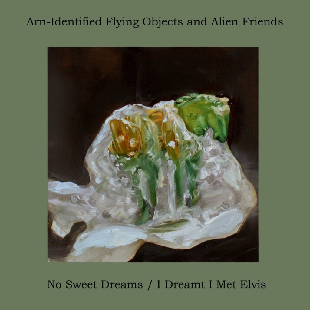 I Dreamt I Met Elvis by Arn-Identified Flying Objects and Alien Friends: Review