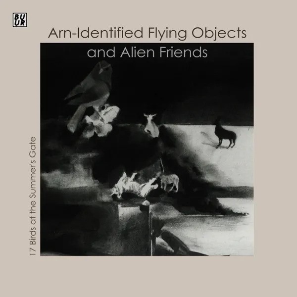 Some Angels Never Learn to Fly by Arn-Identifying Flying Objects and ...