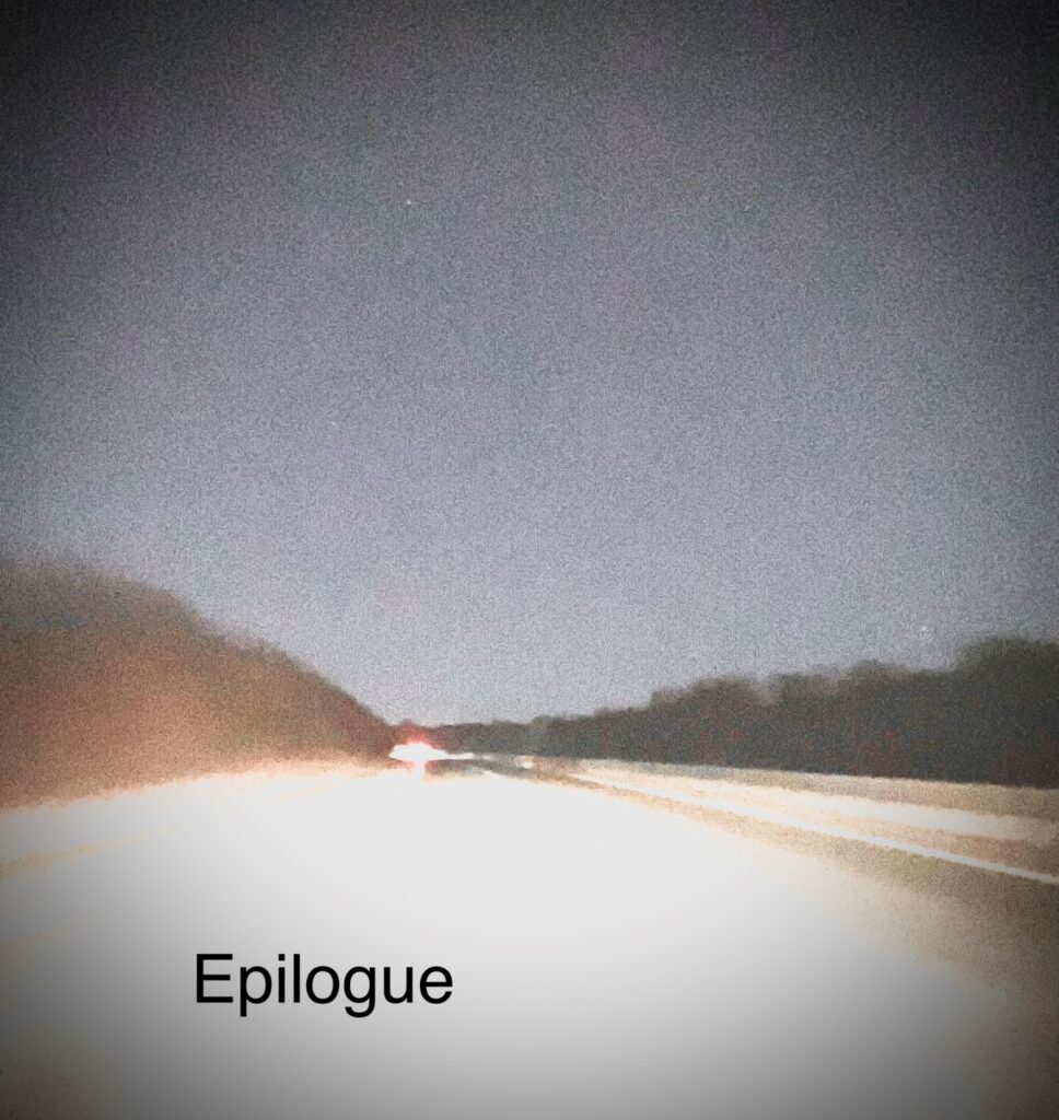 Epilogue by Suzanne Gailey: Review