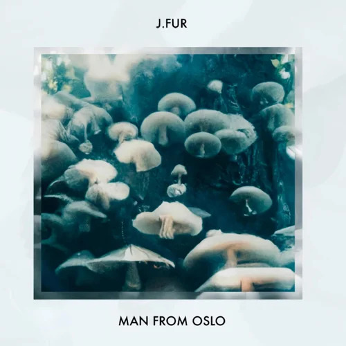 Man From Oslo by J.Fur: Review