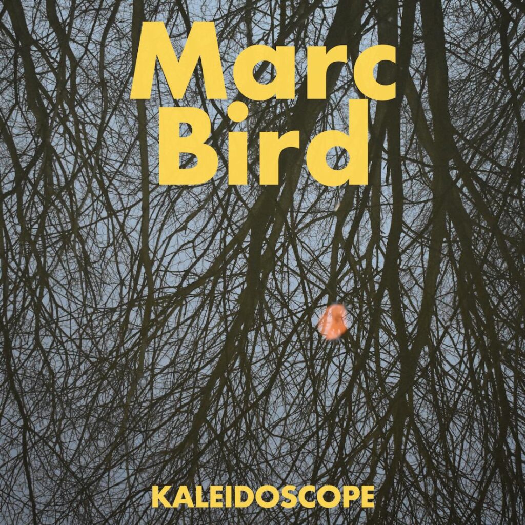 Kaleidoscope by Marc Bird: Review