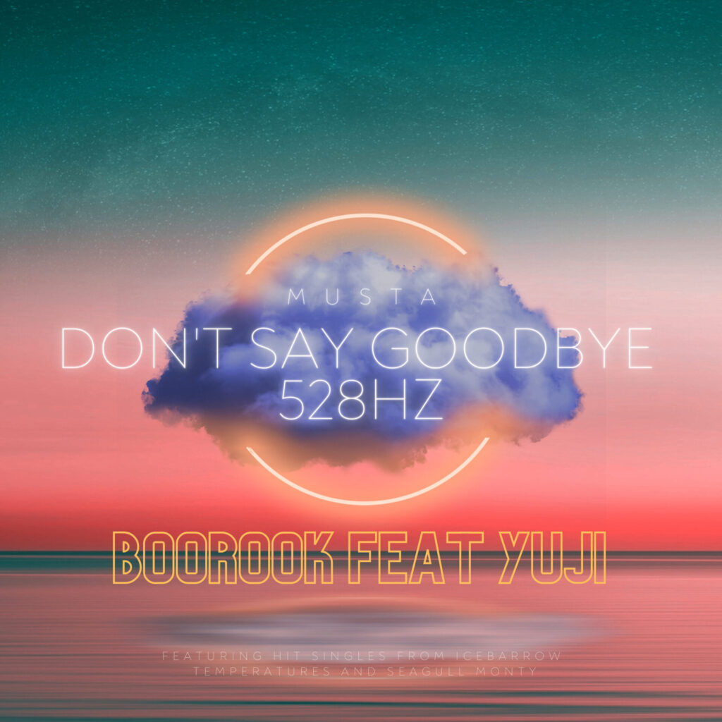 Boorook drops soothing new song 'Don't Say Goodbye 528Hz'