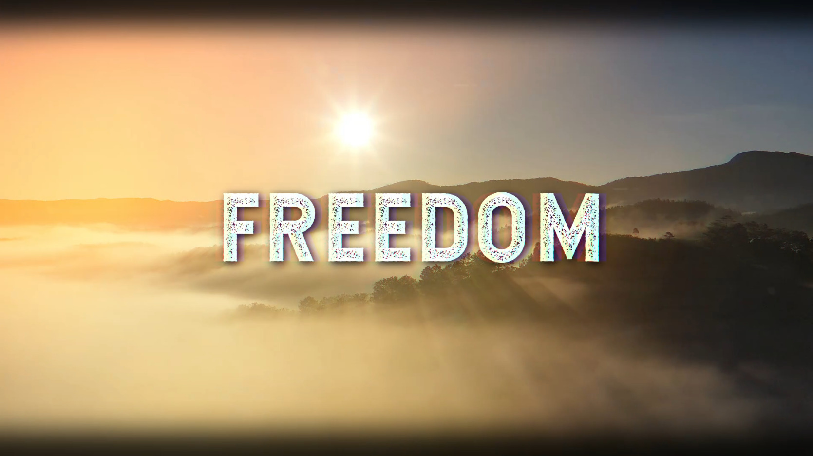 Freedom by ANGUS WOODHEAD: Review