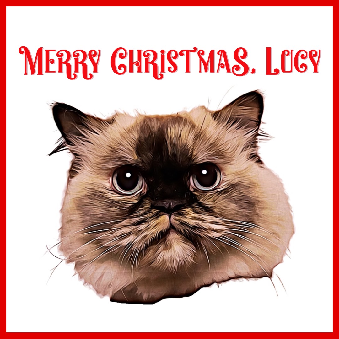 Merry Christmas, Lucy by DILLON GREENBERG & KRIZMAS KAELI: EP Review