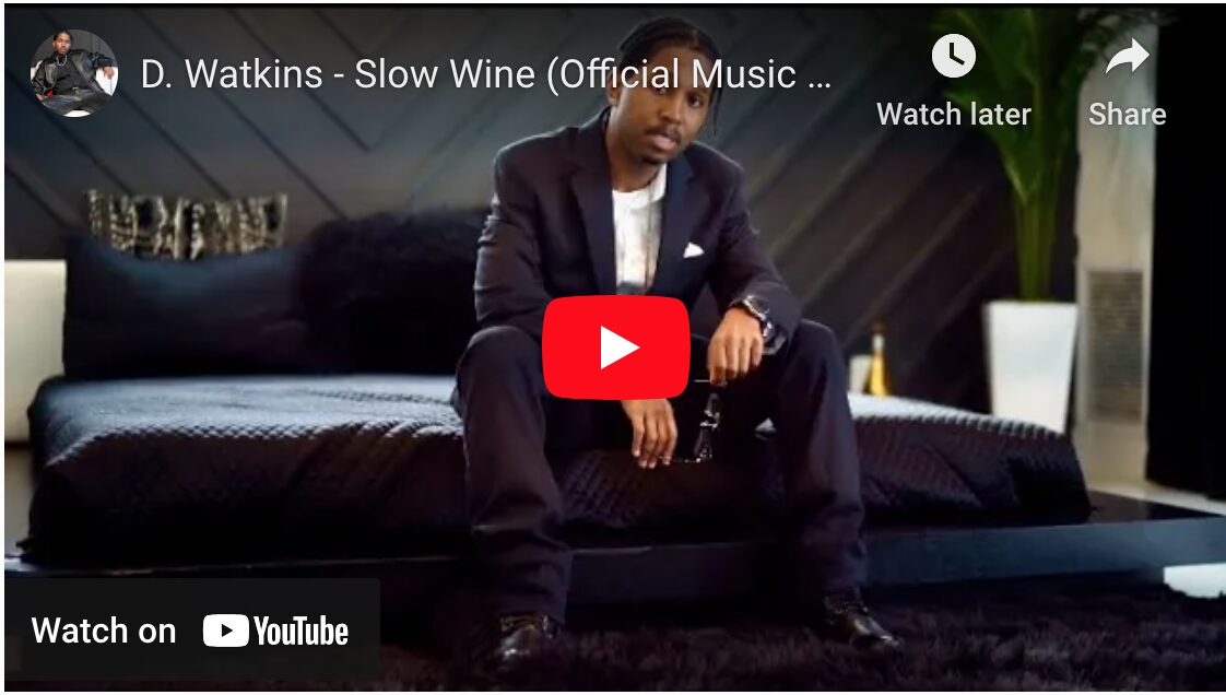 Slow Wine by D. Watkins: Review