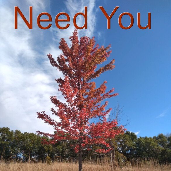 Need You by James M Larocque: Review