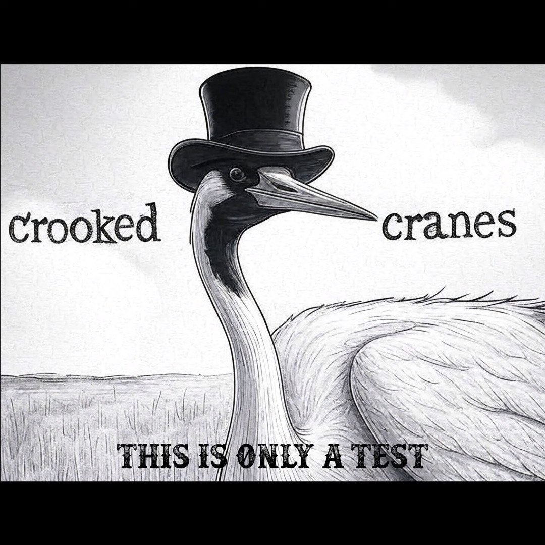 This is Only a Test by Crooked Cranes: EP Review