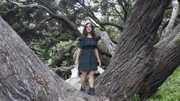 Exclusive Interview with LEXYTRON