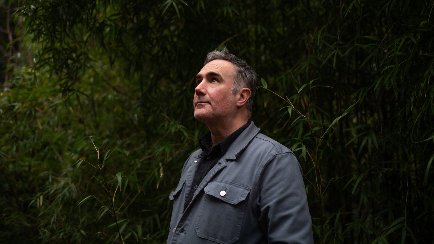 Silverfish by Gerr Walsh: Review