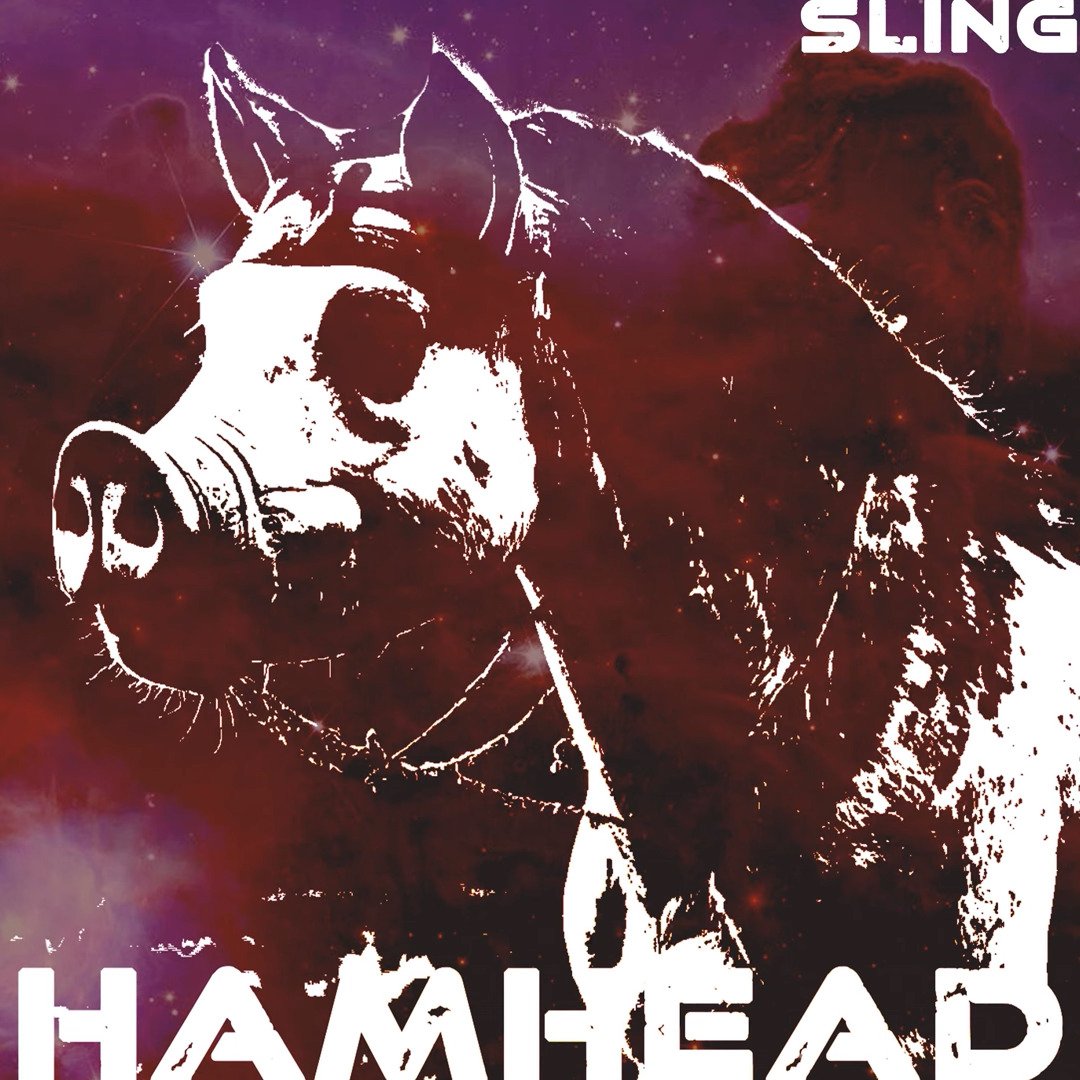 Sling by HamHead: Review