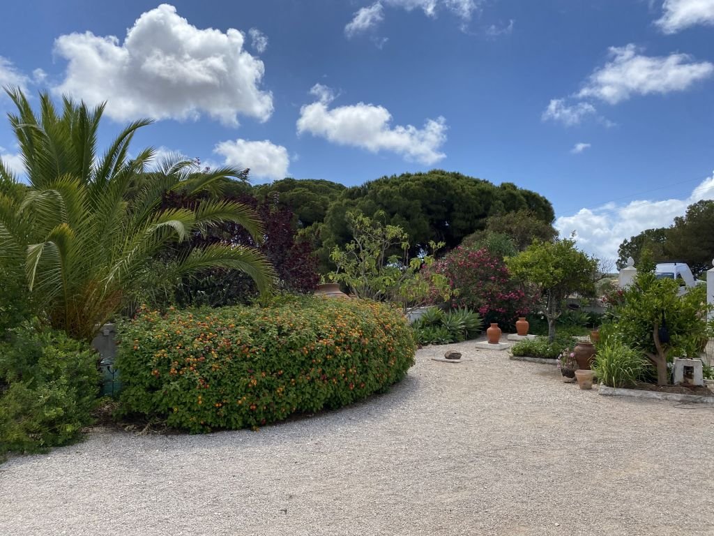 We Move As Fast As Storms Allow by Scott’s Tees: Review