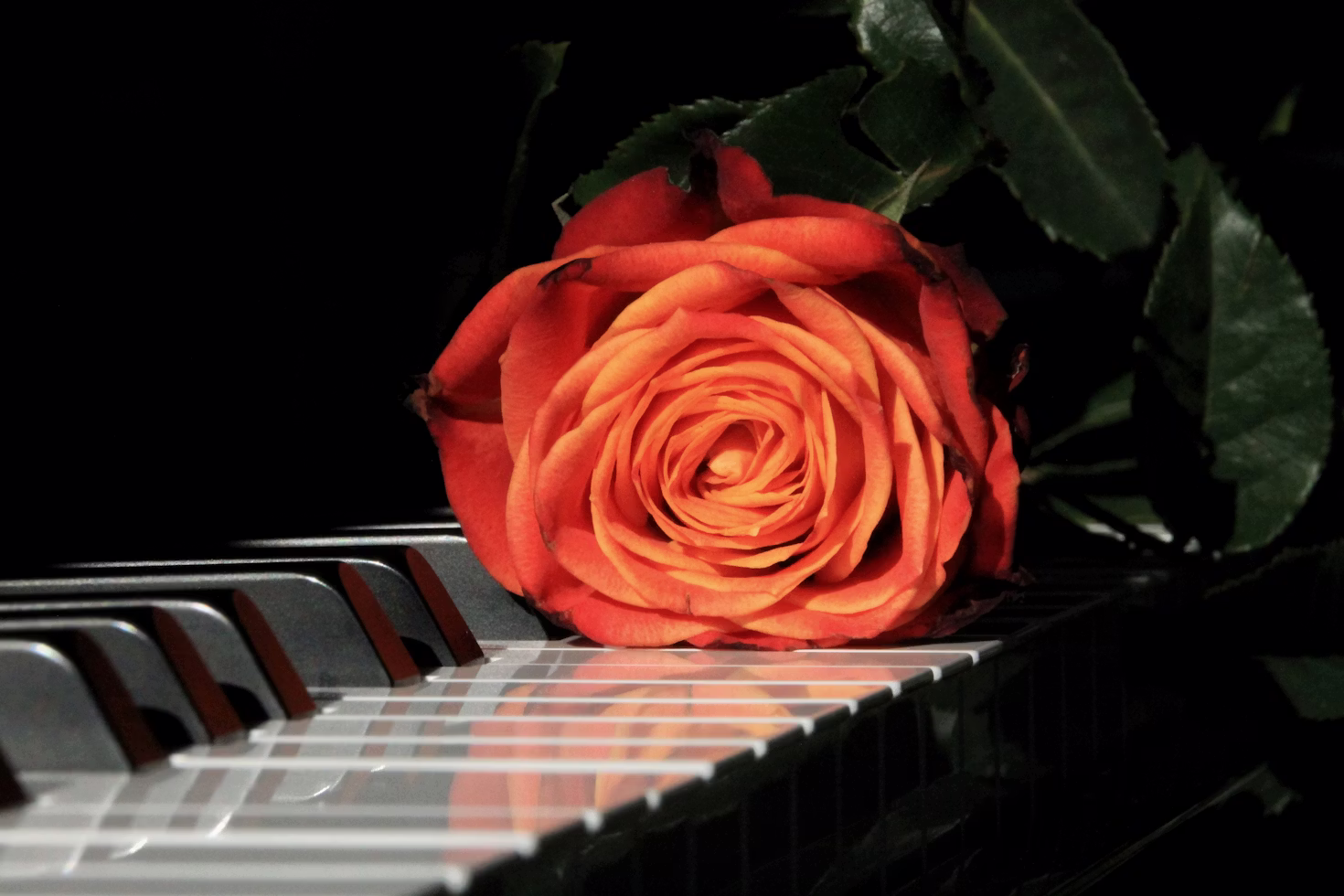 Big Flowers for Big Sounds: The Perfect Floral Pairings for Your Favorite Music Genres
