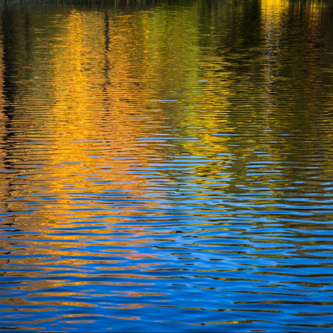 Quiet Storm by Pat Piperni: Review