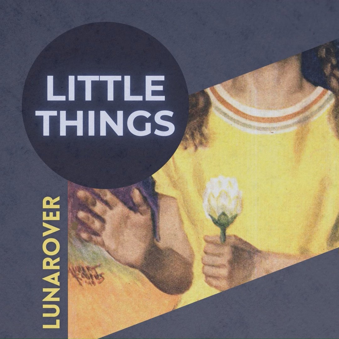 Little Things by LunaRover: Review