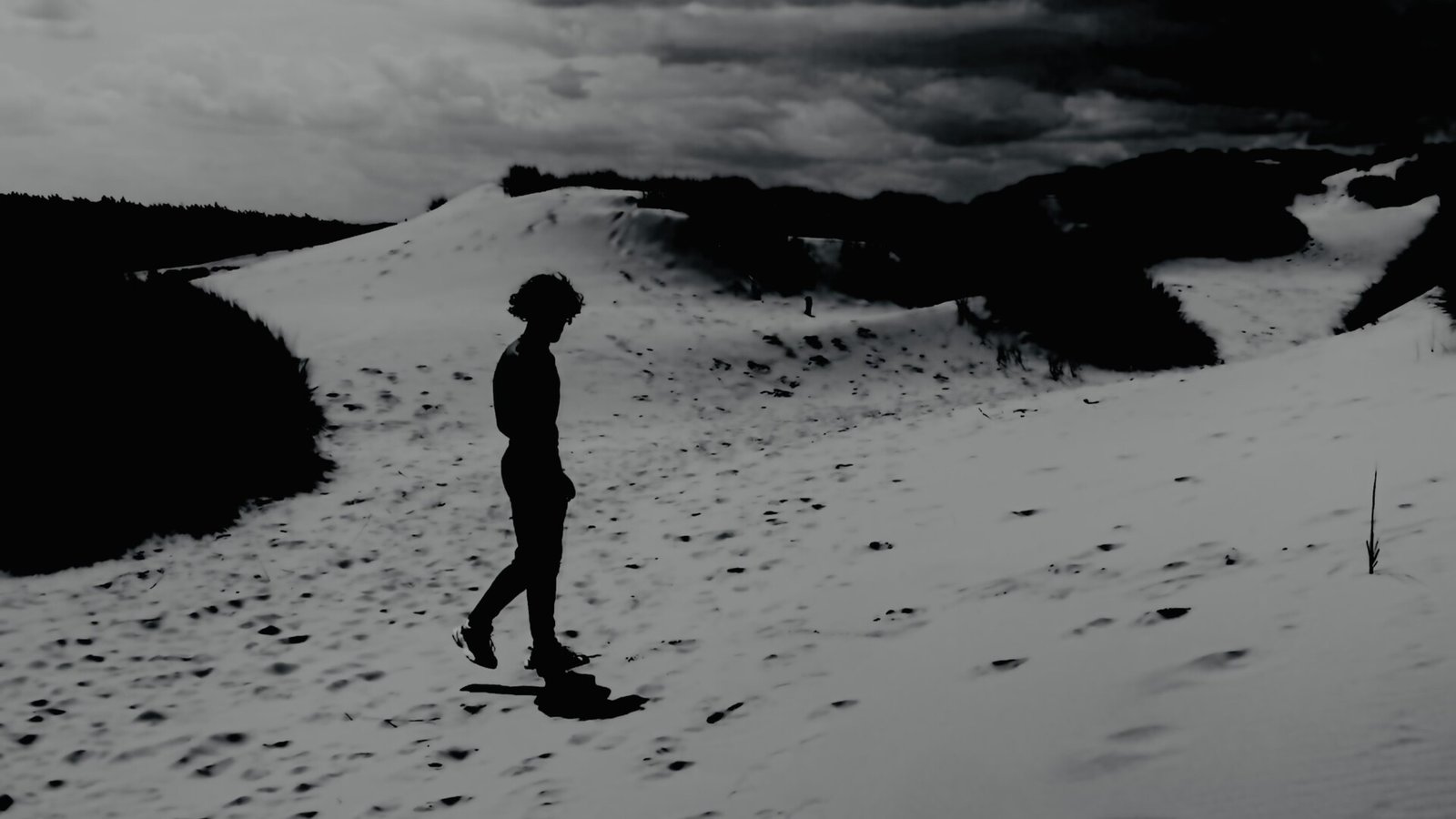 THE SHADOWS BY ADDAMAH: REVIEW