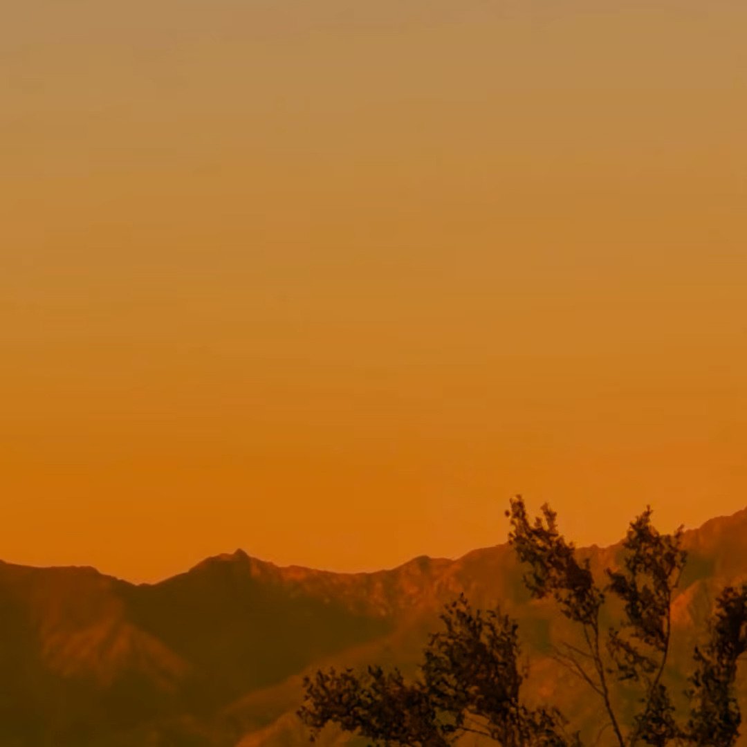 MERCURIAL BY FREEDOM ANON: REVIEW