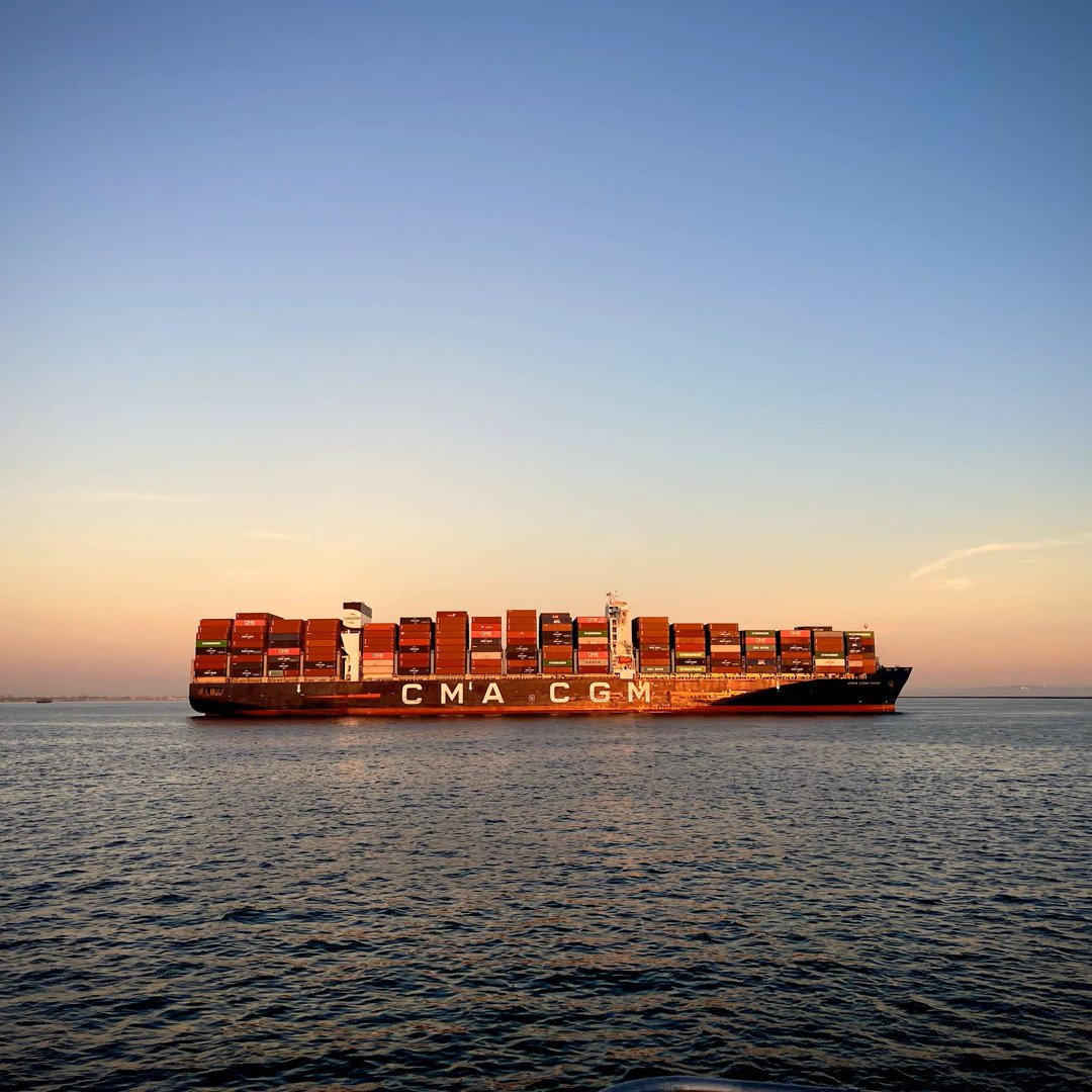 WINGS by SAGE VIVE: Review