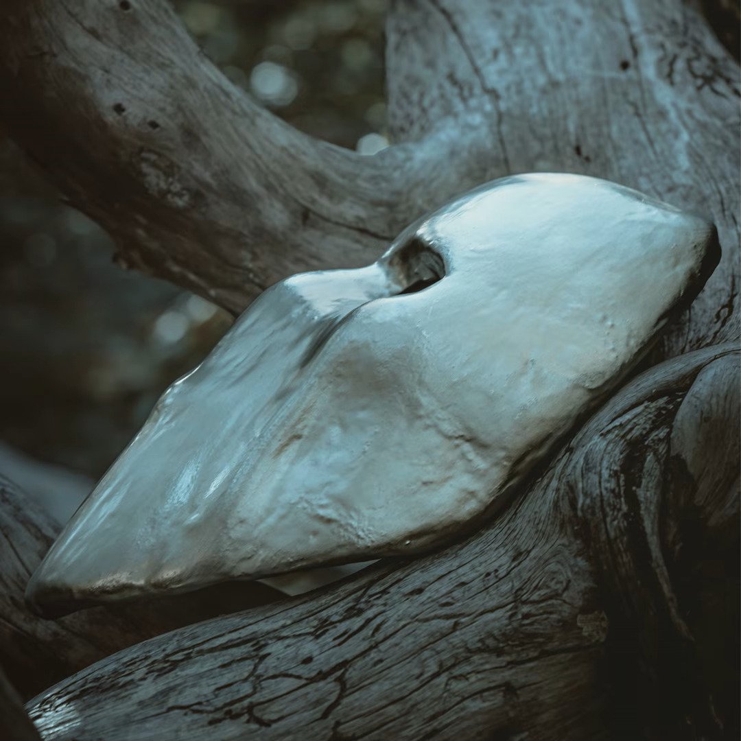 I NEVER BY KALLIGARY: REVIEW