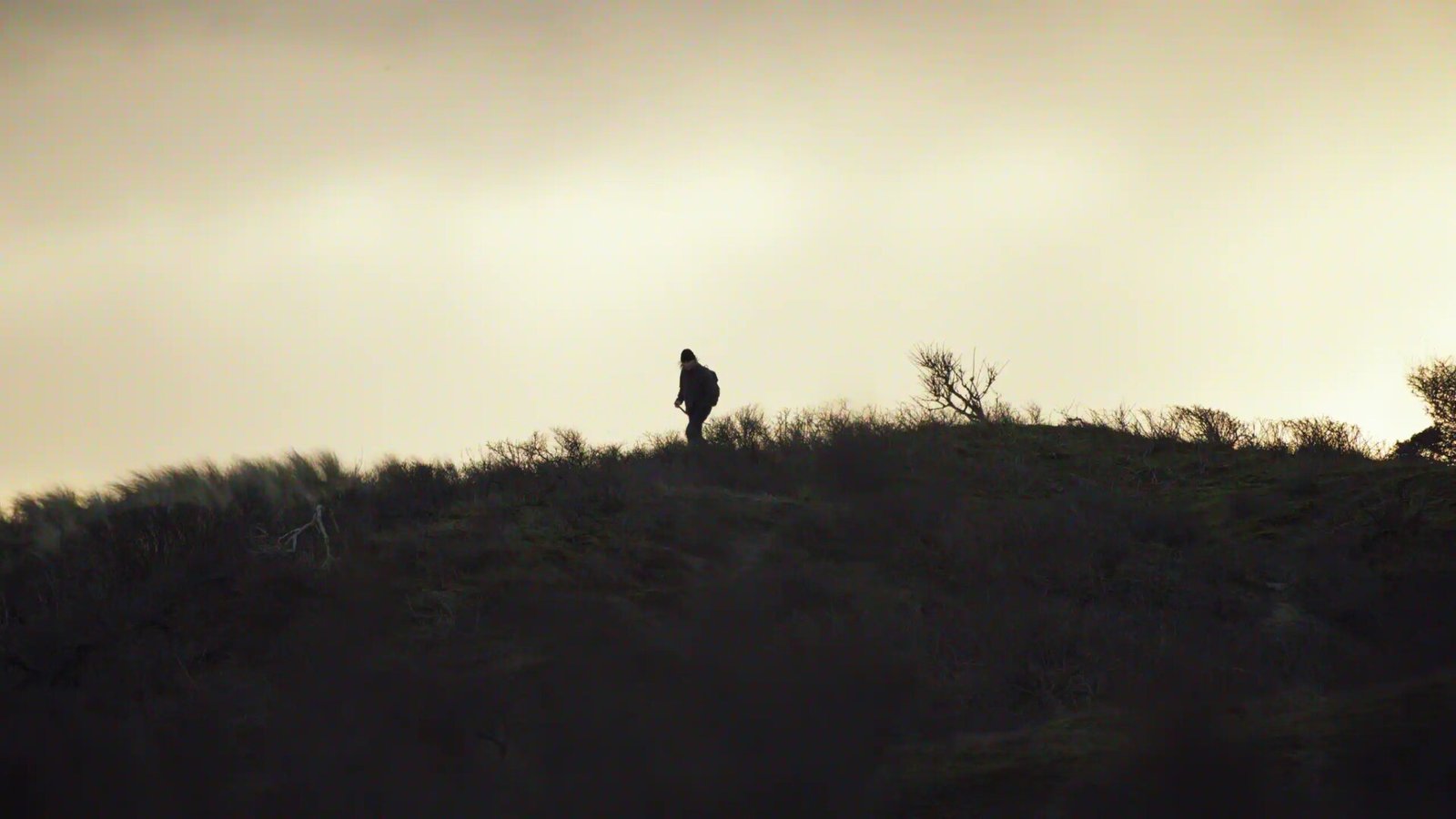 A New Moon by Joseph Turner & The Dudes of Hazard: Review