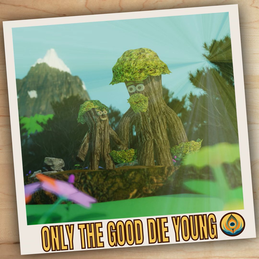 Only The Good Die Young by Christopher Peacock: Review