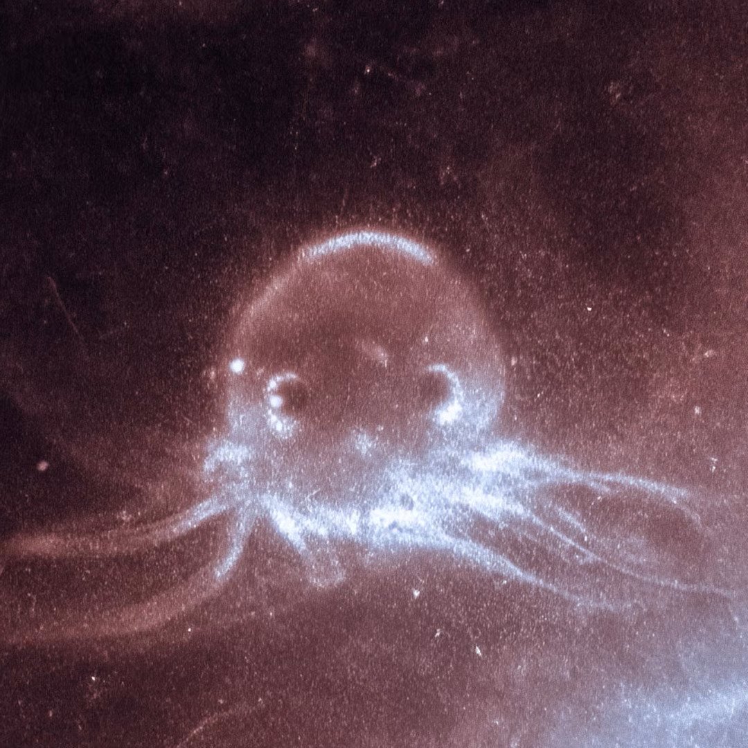 Spirit of Youth by The Willful Deaf: Review