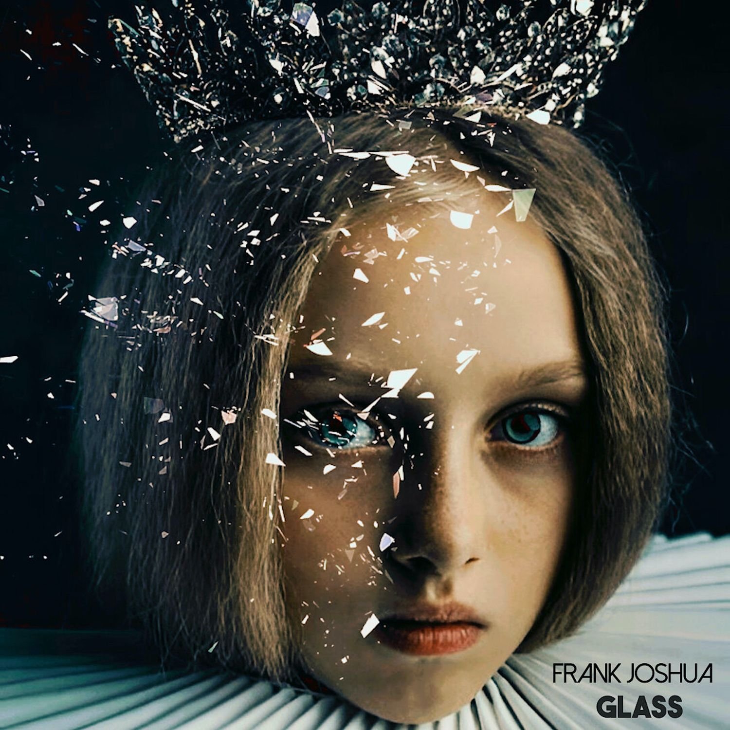 Glass by Frank Joshua: Review