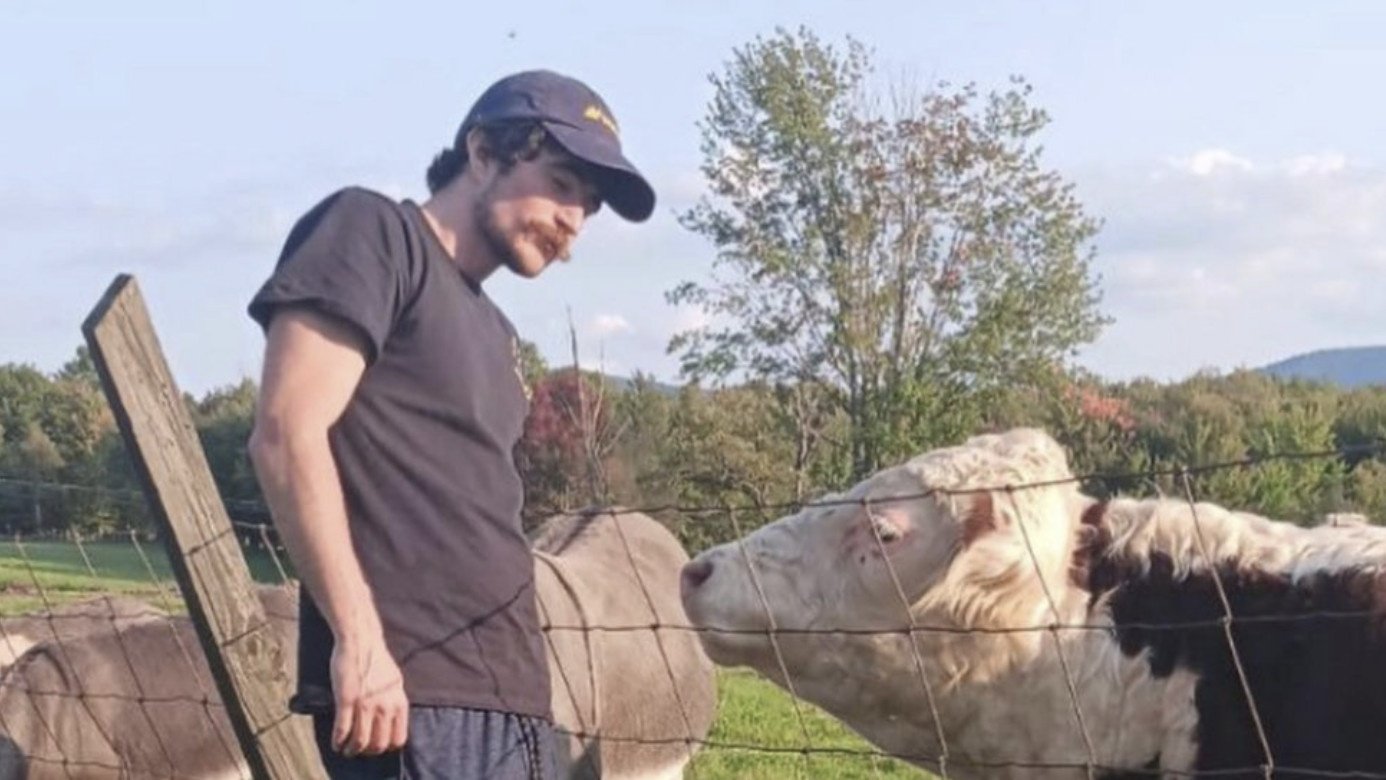 Fold Into The Glow by bobrosia: Album Review