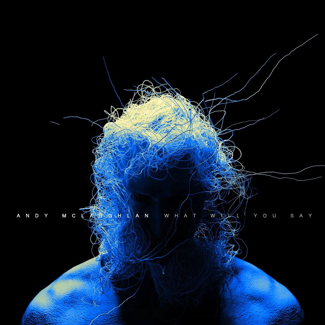 WHAT WILL YOU SAY BY ANDY MCLAUGHLAN: REVIEW