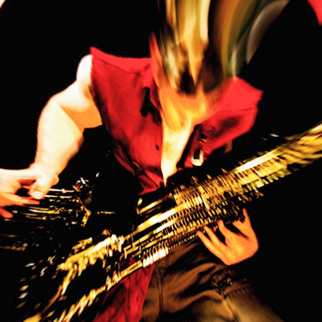 PET SONG BY SHORTOUT KID: REVIEW