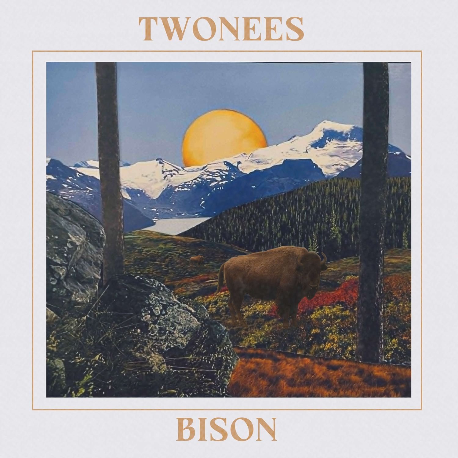 Bison by Twonees: Review | Illustrate Magazine
