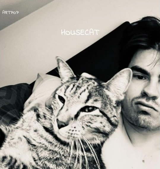 housecAt by art pop: Album Review