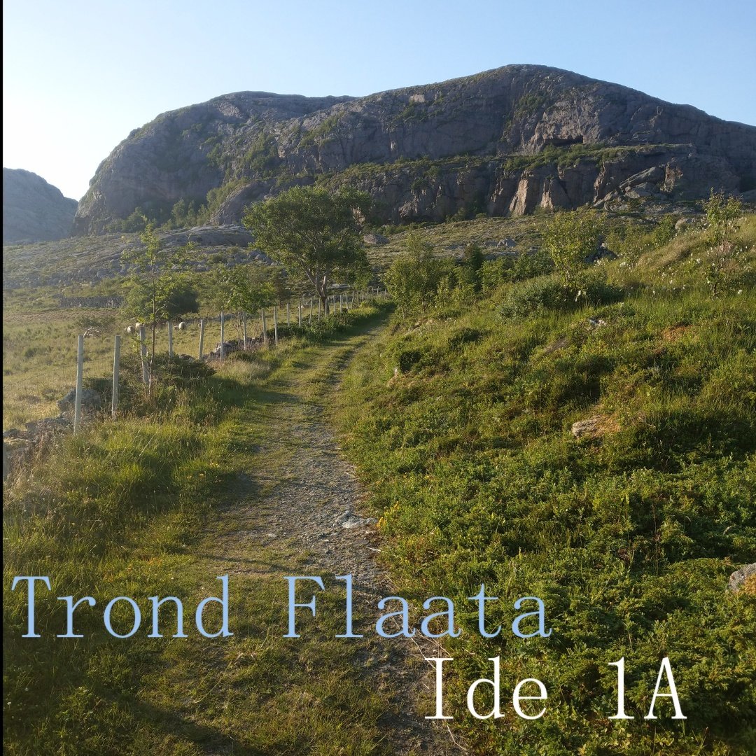 Ide 1A by Trond Flaata: Review