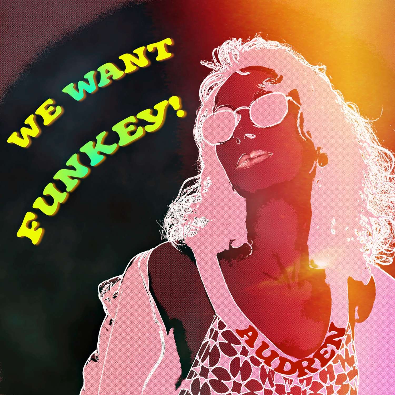 We Want Funkey! by Audren: Review