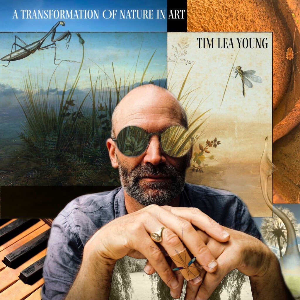 A Transformation Of Nature In Art by Tim Lea Young: Album Review